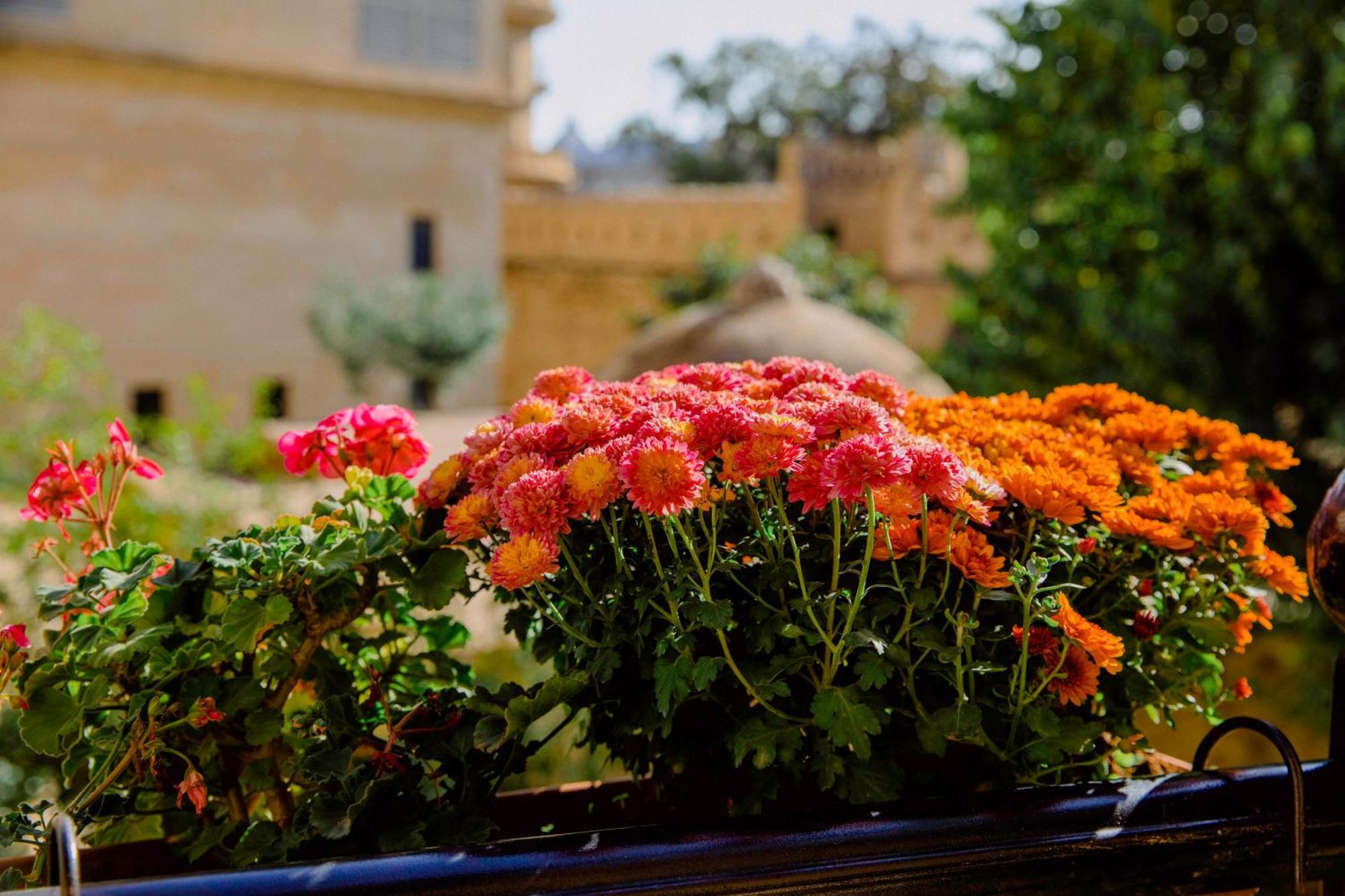 Royal Antique Boutique Hotel Baku Luaran gambar